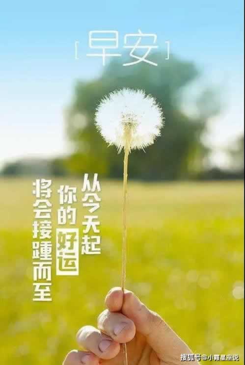 在黑平台出现被黑不给提现怎么办呢.内容概略（图）