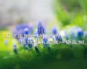 【紧急提醒】网站账号异常解决办法，大家一定要看的！到底怎么处理（图）