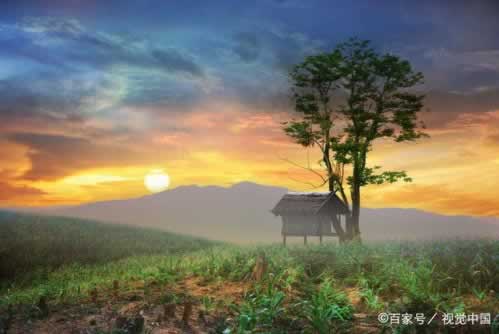 【紧急！网站提款提不出来？揭秘维权攻略，让你不再无助】