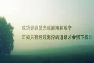 《揭秘网络黑手：网上被黑系统维护审核异常，揭开背后的真相！》