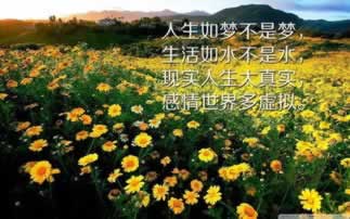 网站提款显示注单未回传怎么回事怎么办?文章出款大师解决.内容导语(图)