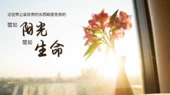 网上营前人被黑系统审核出款失败出款通道维护.文章引题（图）