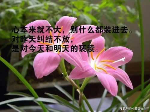 平台出款成功但没到账怎么回事啊.内容狮评（图）