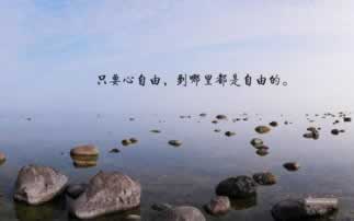 系统审核提不了款怎么办必须要懂.概括(图)