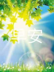 风控系统检测异常怎么办.文章概览（图）