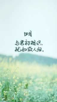 被平台黑了取不了款怎么出黑.小序(图)