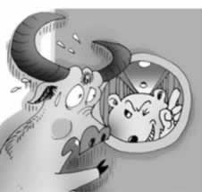 还款系统维护怎么办手续.内容导语（图）