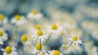 碰到网站抽查审核提现不了怎么办?被黑的原因.概述(图)