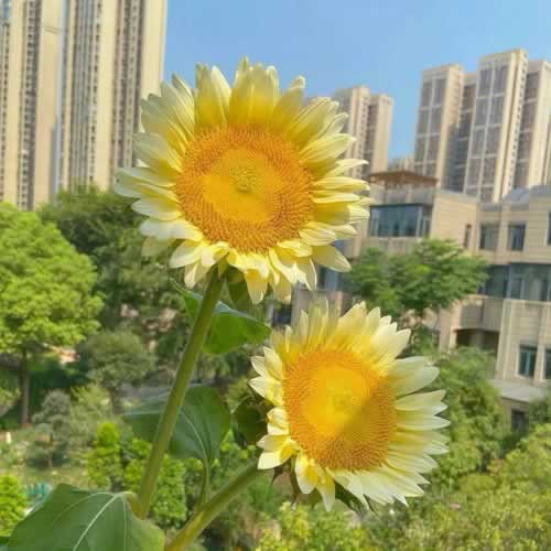网站被坑，账户异常登录提不了款？揭秘多年出款经验，教你轻松应对！怎么这样（图）