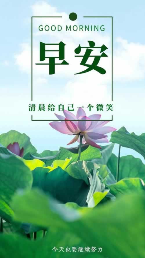 平台客服暂停服务背后的真相：揭秘原因与应对策略啥解决方案（图）