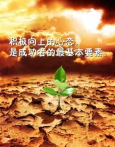 网上被黑异常审核提不了款？揭秘背后的真相与应对策略快速解决（图）