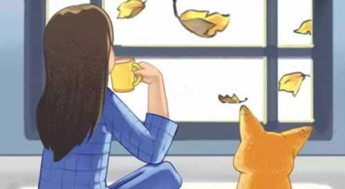 网络平台被黑,如何巧妙夺回控制权?