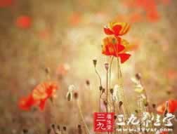 【紧急提醒】“365提现三天还没到账”?揭秘提现慢的五大原因及解决方案!