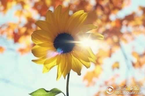 网络不能出款.内容核心(图)