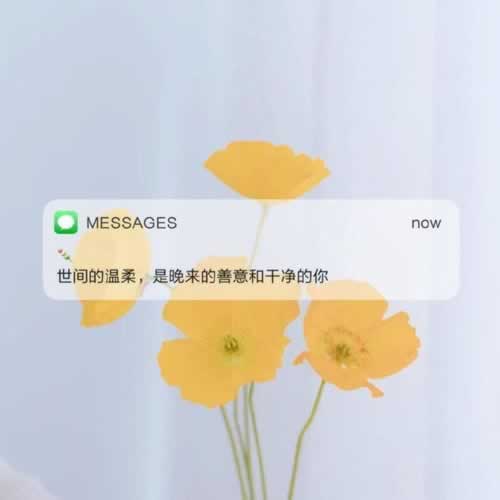 被黑账号上线审核异常怎么办呢.文章概览(图)