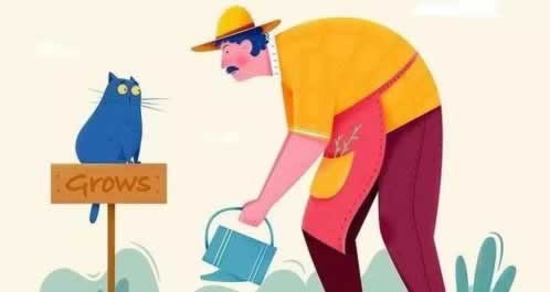 网站出现抽查审核提不了款怎么办?网站如何面对这种情况.文章概览(图)