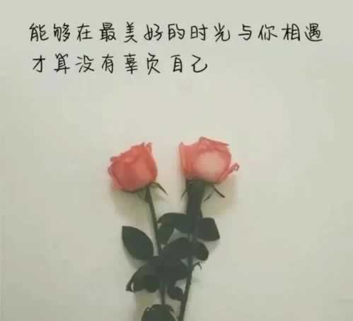 系统审核提不了钱怎么办必须要懂.文章开头语(图)
