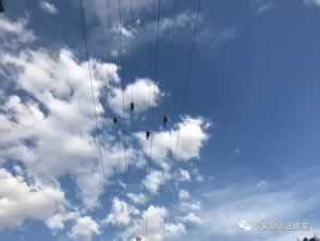 网络上赢了提款平台客服说财务系统临时维护.文章概览(图)