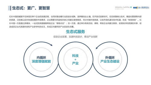 【紧急!】开元注单未同步,提现受阻?教你一招快速解决!