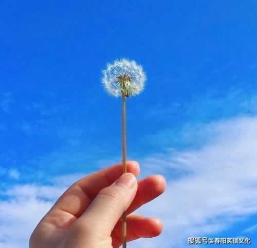 网上风控审核不到账？点开这篇文章，教你轻松解决！如何处理（图）