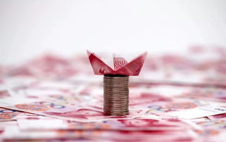 【紧急解答】系统维护不能还款,如何巧妙应对?怎样面对(图)
