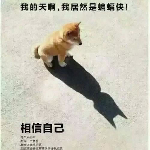 网站被坑财务清算提现失败怎么办？我来告诉你.内容概略（图）