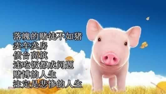 被黑了提不了款？揭秘解决之道，让你轻松应对！大家怎么弄（图）