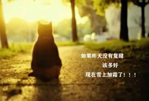 网上黑平台不给提现怎么办.引文(图)