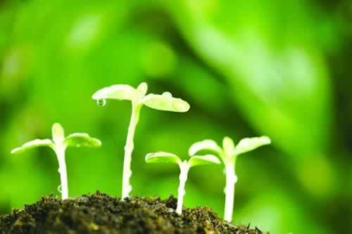 平台被黑提款提不了？揭秘解决之道，让你不再焦虑！破解不难（图）
