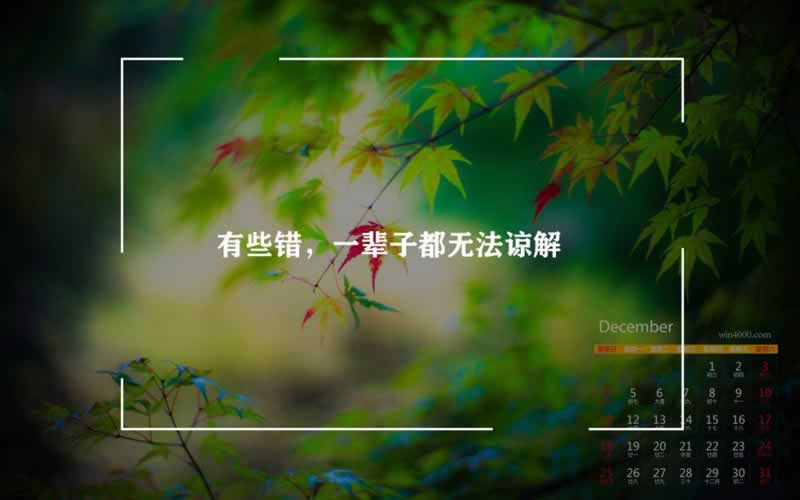 在网上被骗了不给提款怎么办,新人碰到看这里.文章慨括(图)