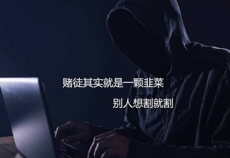 黑网被黑一直说数据审核总提现失败.提要(图)
