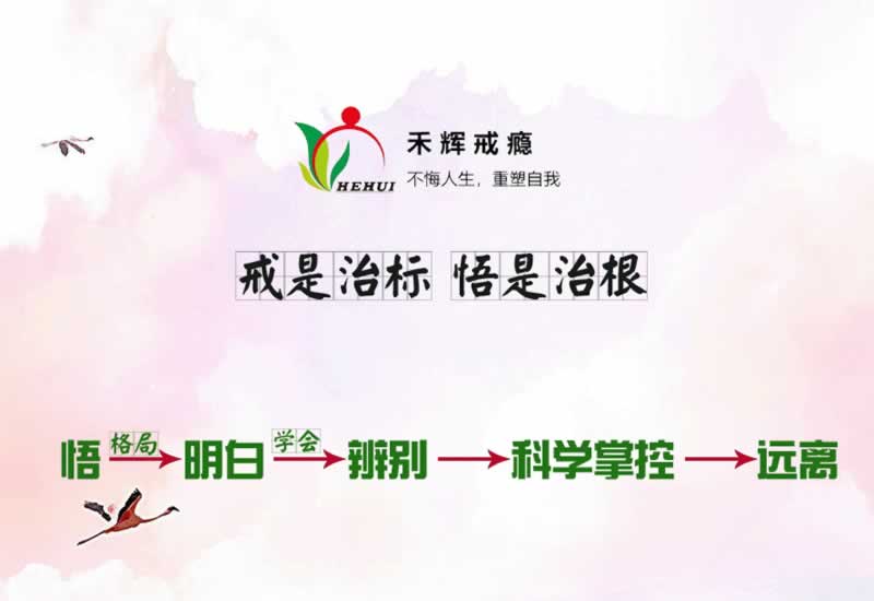 为什么数据不互通?揭秘数据孤岛背后的困境与解决之道