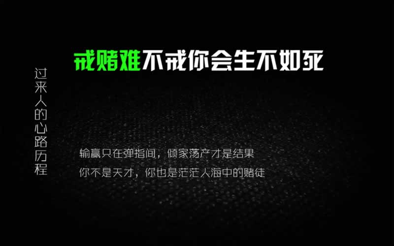由于网络波动出现异常.文章概览（图）