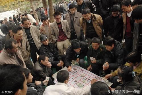 系统审核不给提现怎么办揭秘真相.文章概览(图)