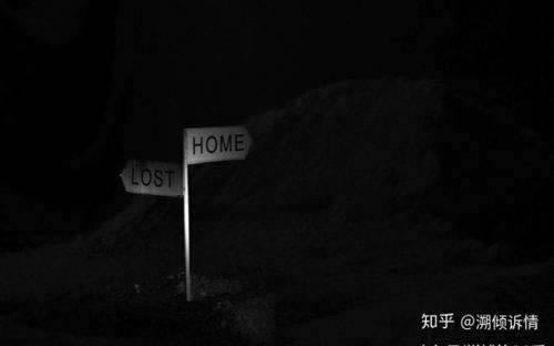 平台不给提现怎么办简书.内容开头语(图)