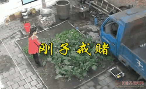 被平台黑专门帮人出款.文章引题(图)